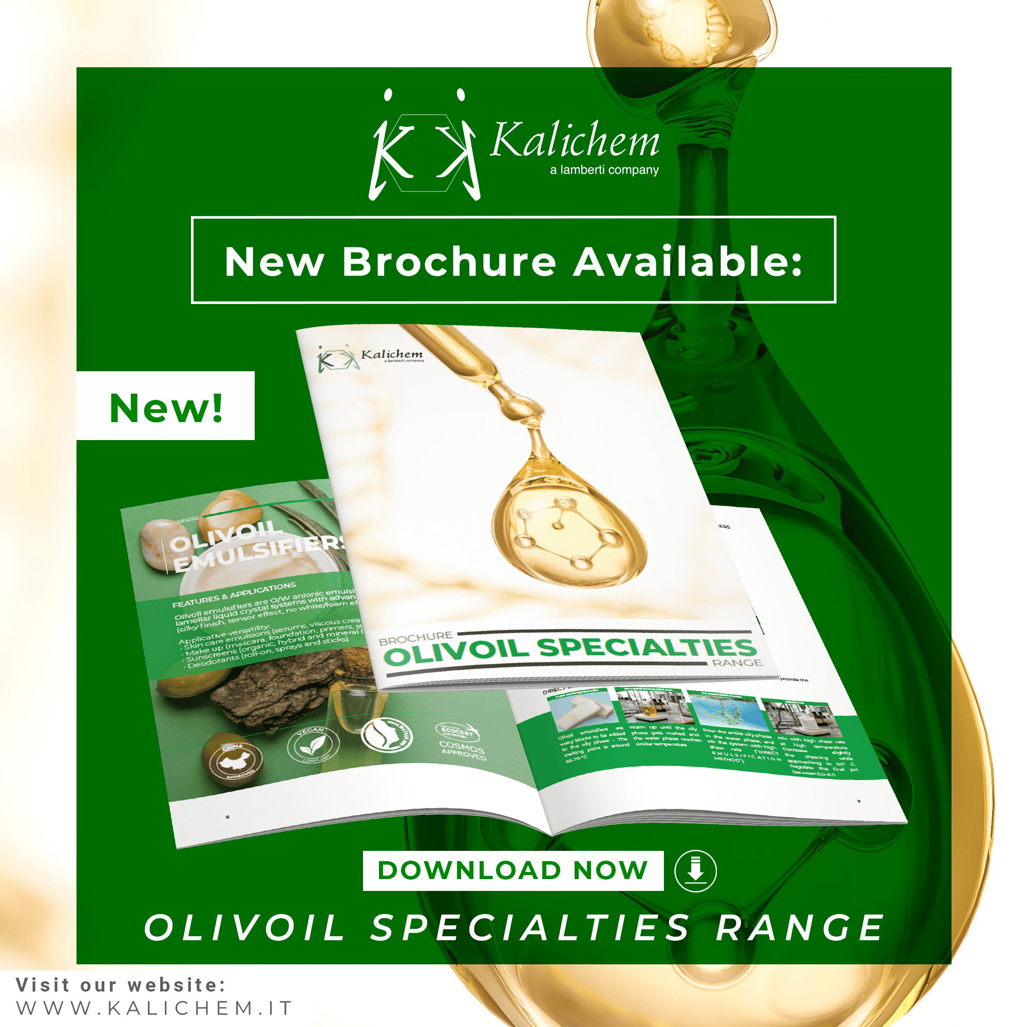 BROCHURE OLIVOIL 2026